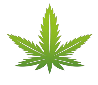 Hemp dukaan