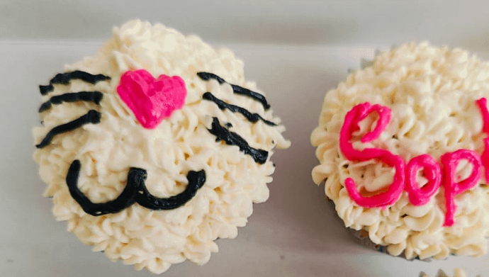 Chicken and Tuna Cupcakes ( Box of 2 )