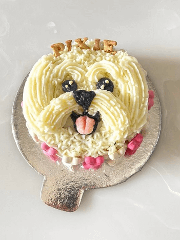 Lhasa Apso Face Cake