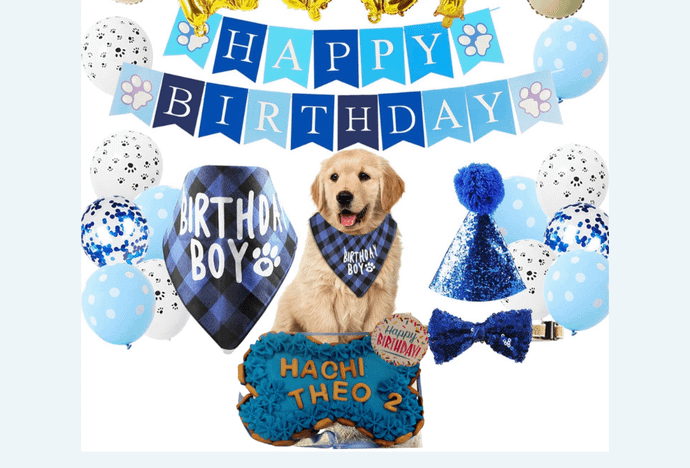 Doggo Birthday Combo ( Cake + Decor) - Blue