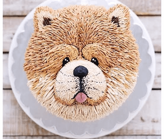 Chow Chow Face Cake