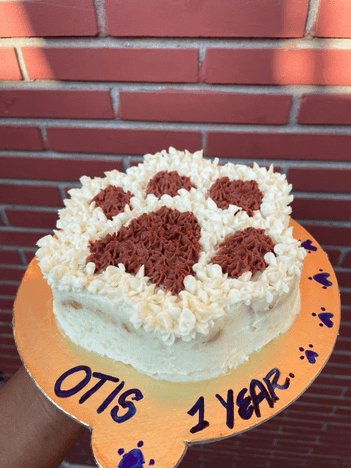 Veg Paw Cake