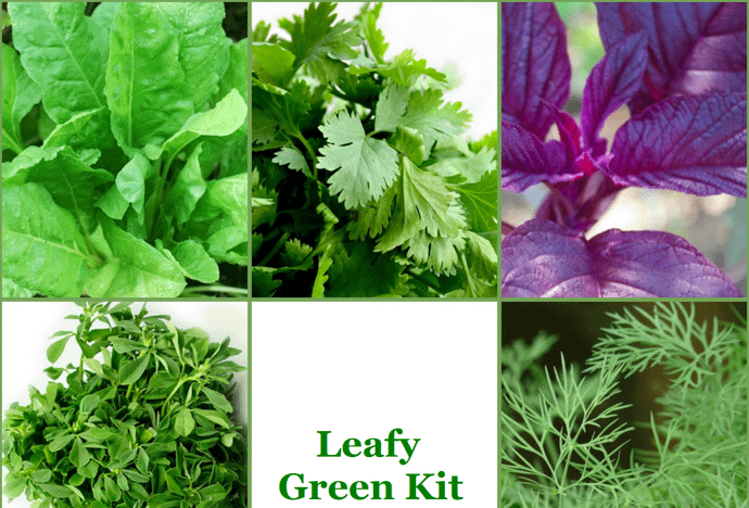Leafy Green Kit