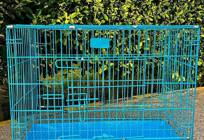 Dogs Cage