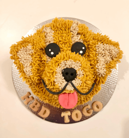 Golden Retriever Cake