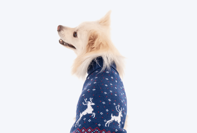 Winter Wounder Sweater (Blue)