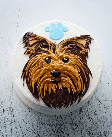 Yorkie Face Cake