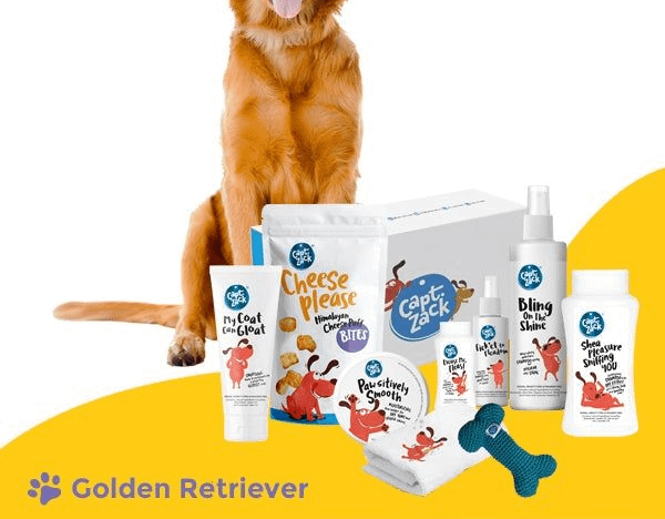 The Golden Retriever Box – Ultimate 8-in-1, Head-to-Paw Groom-Kit