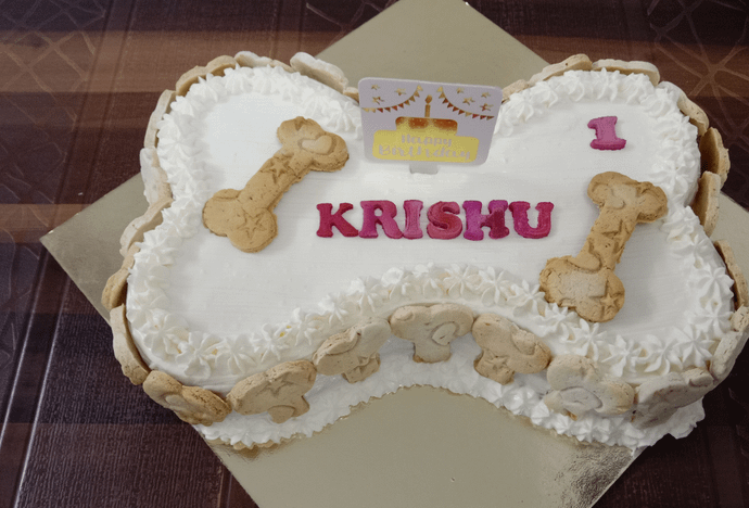 Biscuit Cake-1kg (Bone shape)