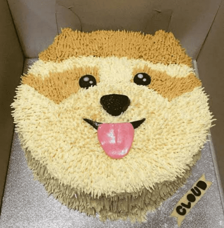 Pomeranian Face shape Cake.