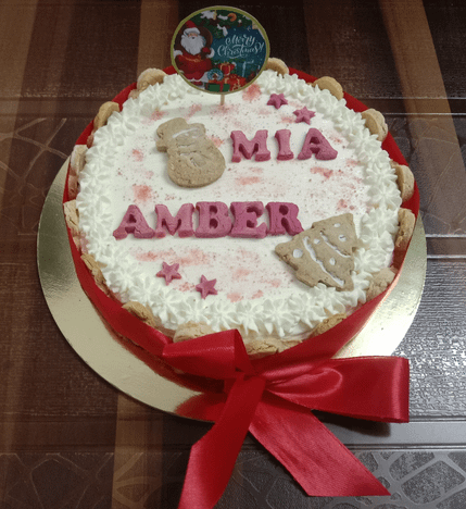 Biscuit Festive Cakes - Christmas Special -500g