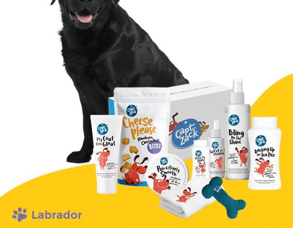 The Labrador Groom Box – Ultimate 8-in-1, Head-to-Paw Groom-Kit