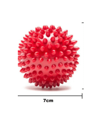 Spiked dog chew ball