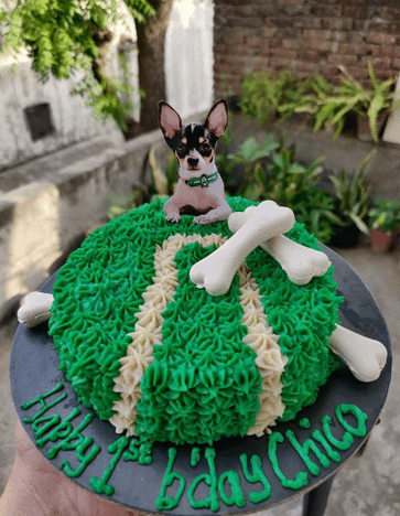 Tennis Ball Cake 