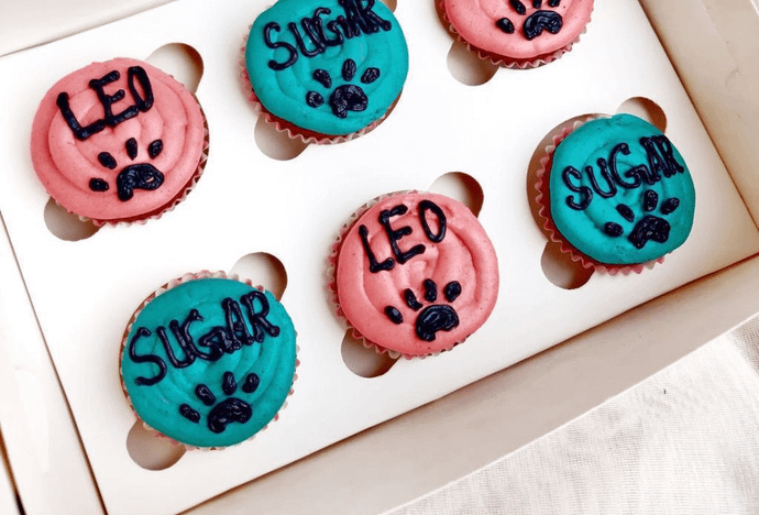 Apple Sauce Peanut Butter Pupcakes (Pack of 6)