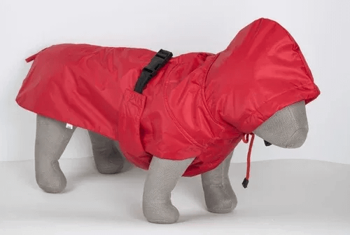 Dog Raincoat