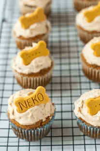 Chicken & Oats Cupcakes