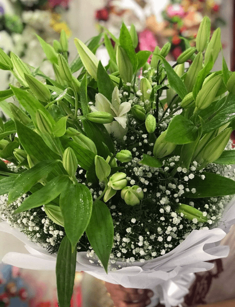 White Fragrance Lilies Bouquet 