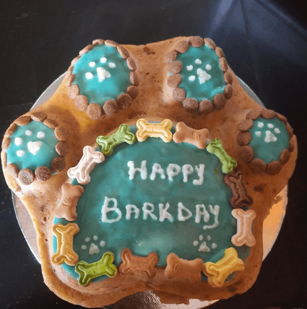 Chicken cake for dogs