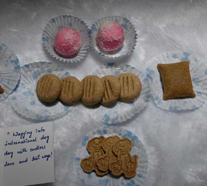 International dog day hamper 