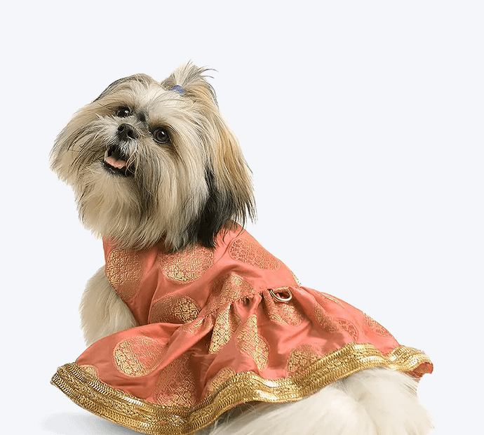 Personalized Dog Lehenga (Small Breeds)