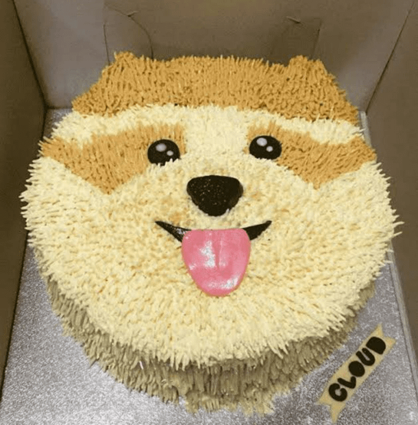 Pomeranian Face shape Cake.