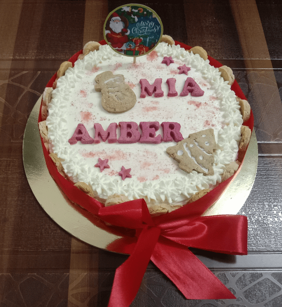 Biscuit Festive Cakes - Christmas Special -500g