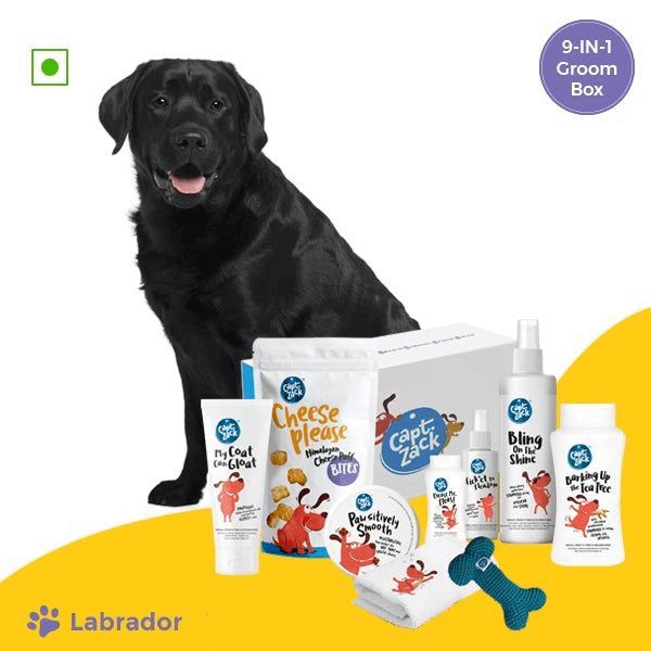 The Labrador Groom Box – Ultimate 8-in-1, Head-to-Paw Groom-Kit