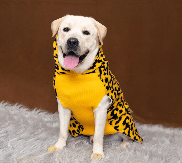 Leopard Knit Sweater