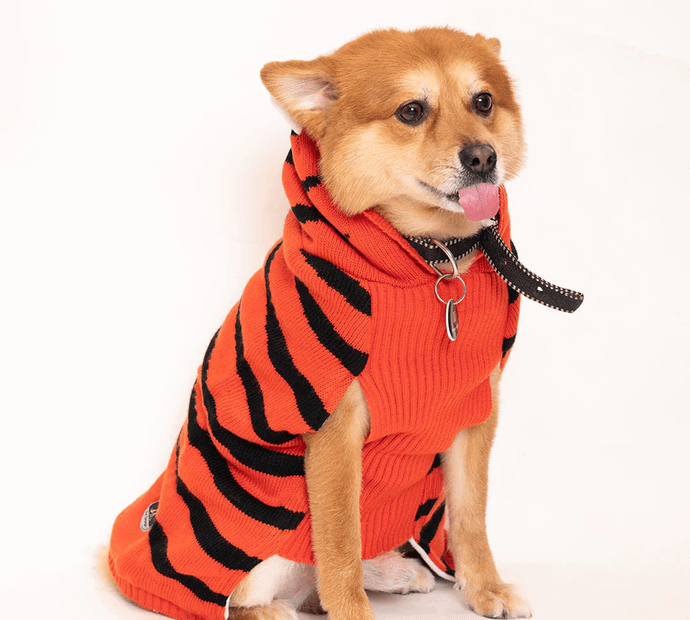 Tiger Knit Sweater
