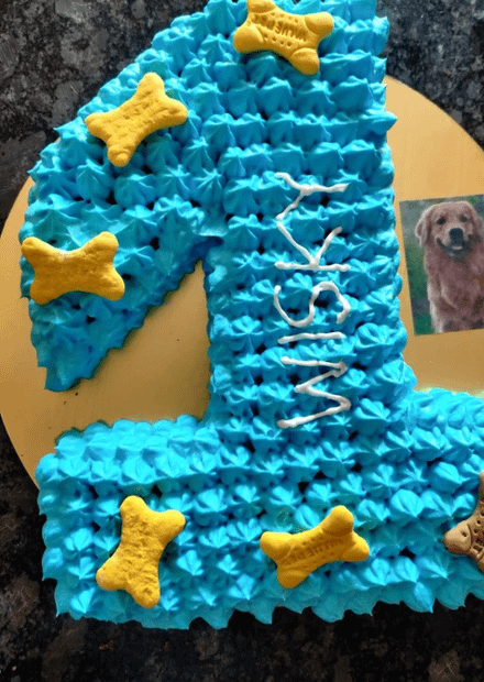 Gluten free chicken peanut butter cake