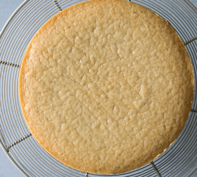 Vegan Vanilla Dry Cake