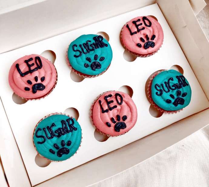 Apple Sauce Peanut Butter Pupcakes (Pack of 6)