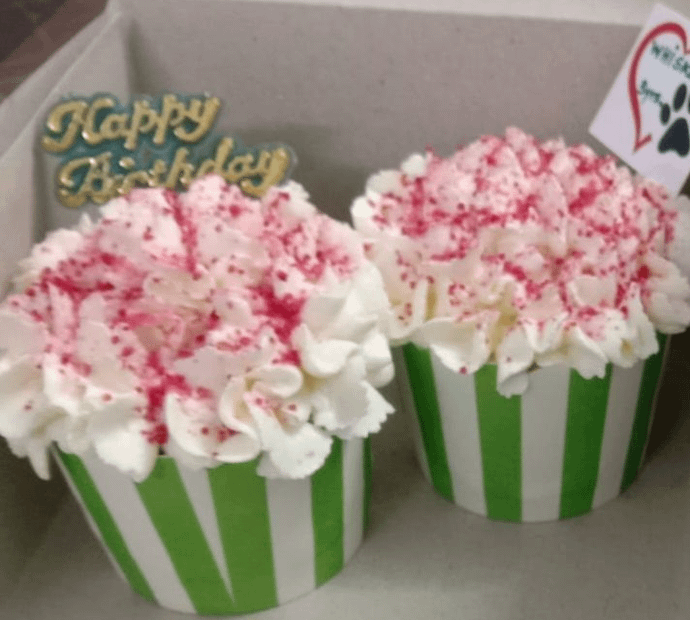 All Veggie Red Velvet Cupcakes -Box of 2