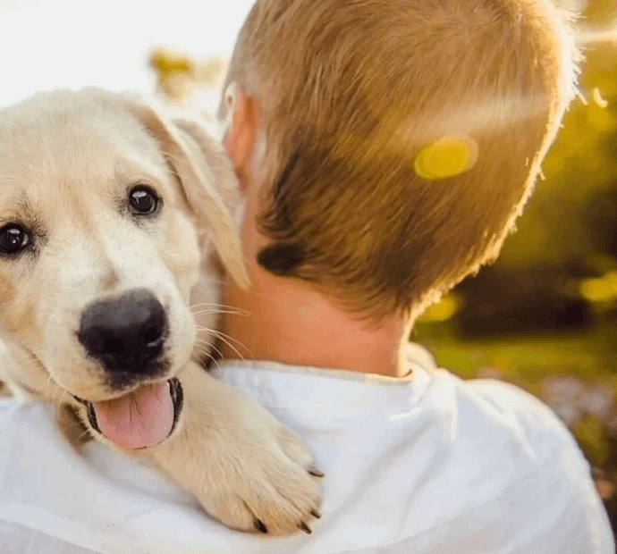 Jaynagar 9th Block Pet Boarding-  560041