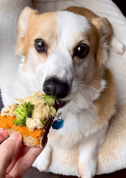 veggies overloaded pizza