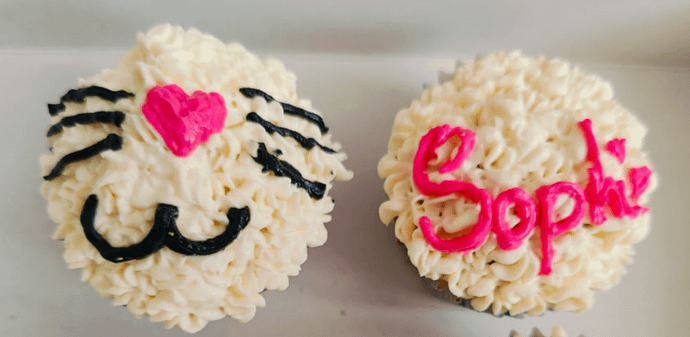 Chicken and Tuna Cupcakes ( Box of 2 )