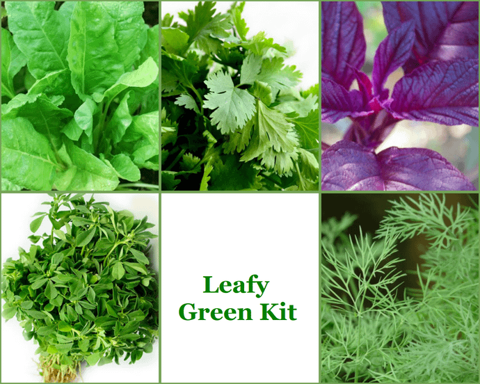 Leafy Green Kit