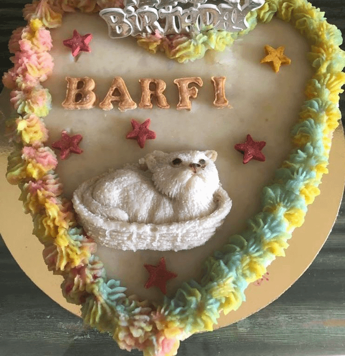 Tuna Cake for CATS