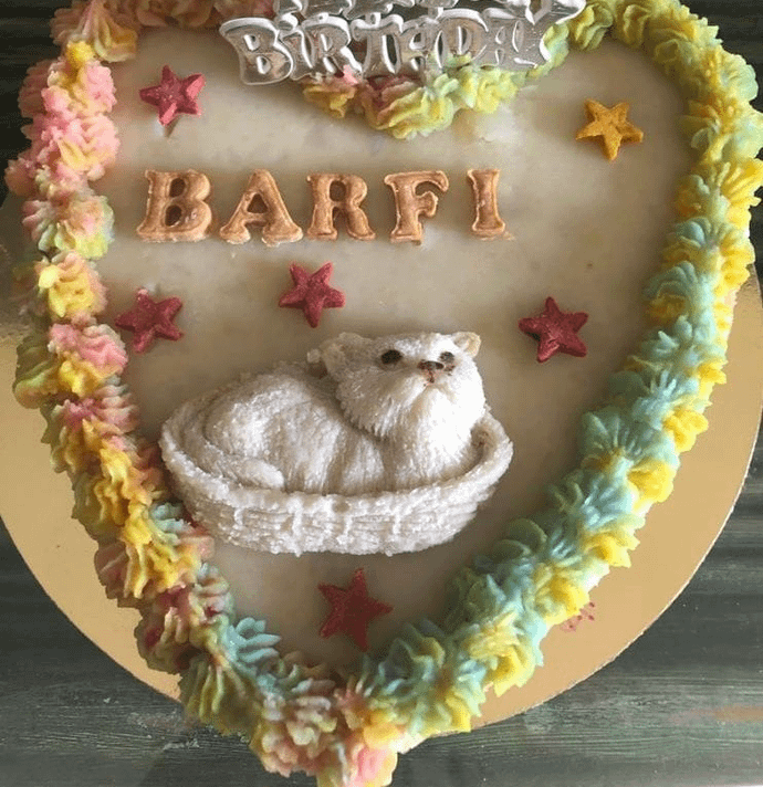 Peanut Butter & Pumpkin Cake