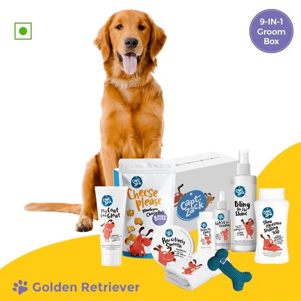 The Golden Retriever Box – Ultimate 8-in-1, Head-to-Paw Groom-Kit 