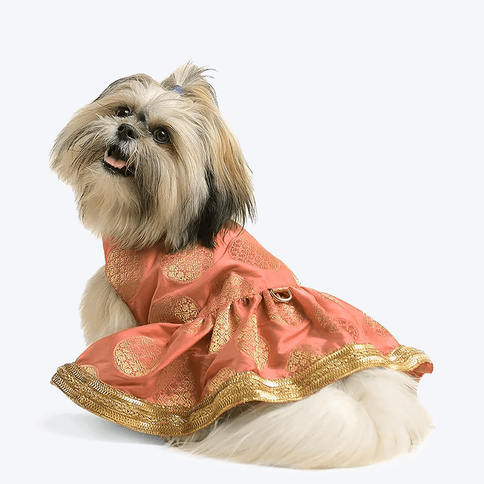 Personalized Dog Lehenga (Small Breeds)