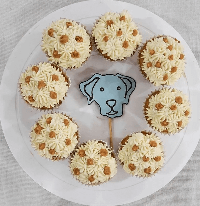 Pumpkin Cupcakes (Box of 4)