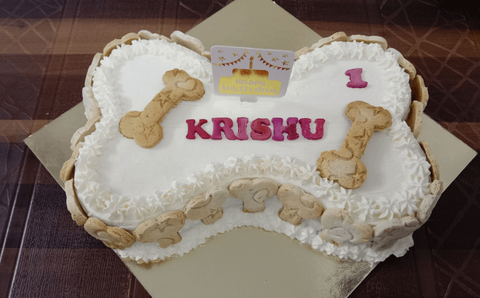 Biscuit Cake-1kg (Bone shape)
