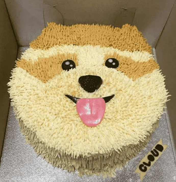Pomeranian Face shape Cake.