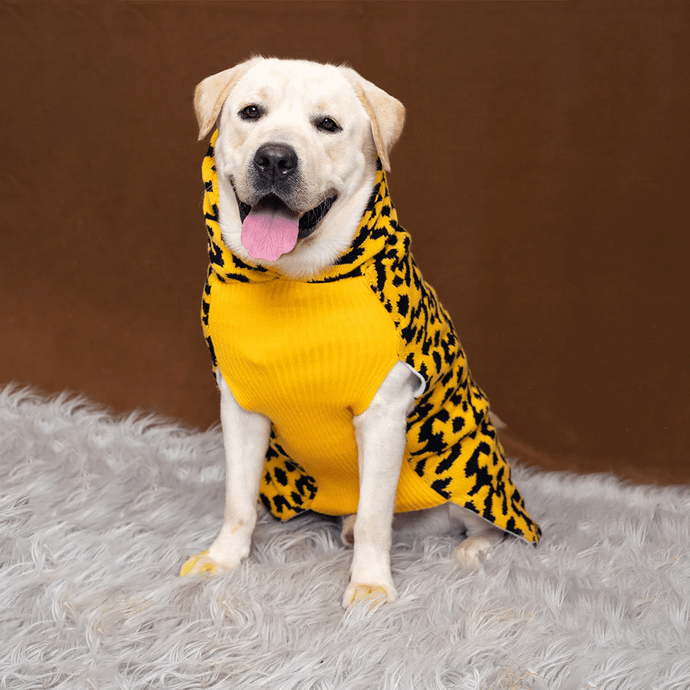 Leopard Knit Sweater