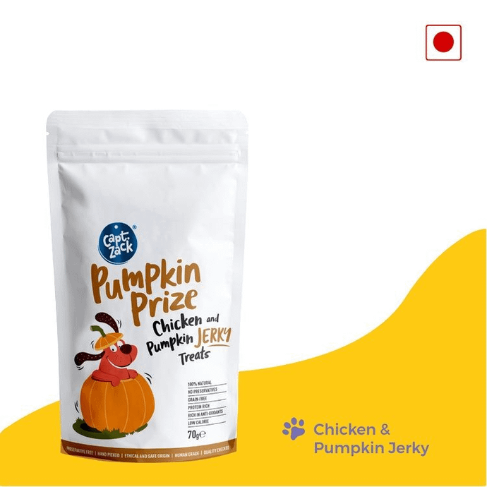 Pumpkin Prize Real Chicken Jerky Human Grade Treats for Dogs, 70g