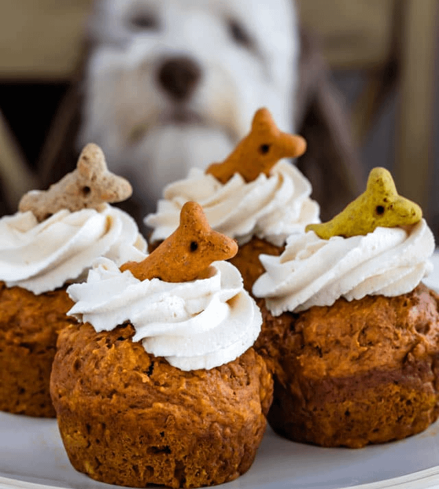Pumpkin Pupcakes (pack of 6) - VEG
