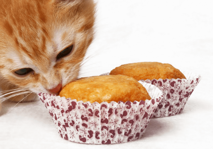 Tuna Cupcakes ( Box of 4)