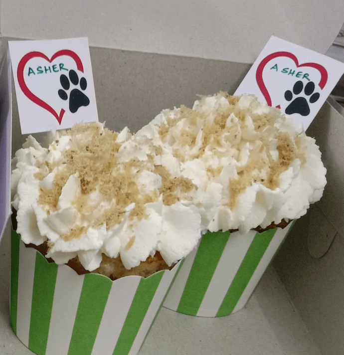 Chicken Cupcakes -Box of 2